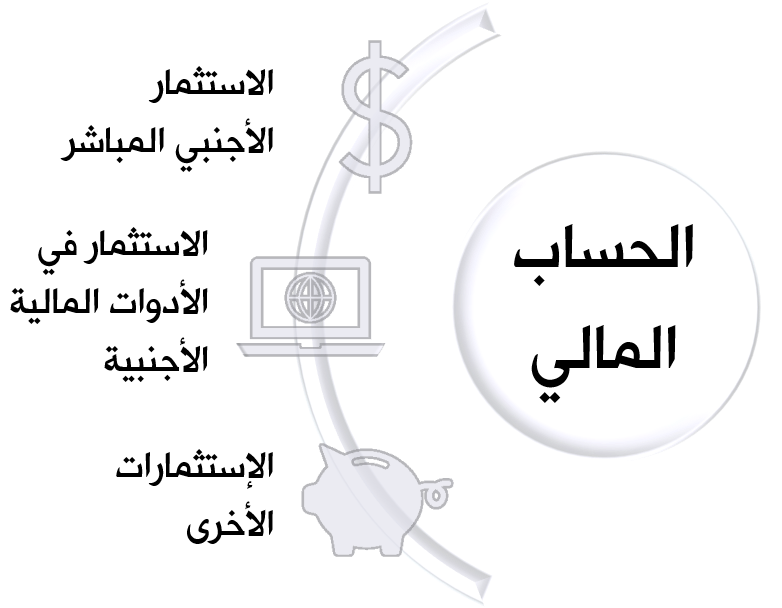 ميزان المدفوعات - أجزاء الحساب المالي